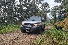 Toyota Dulux